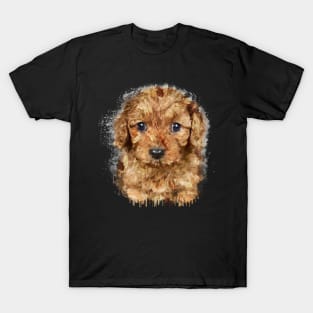 Cavapoo watercolor T-Shirt